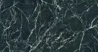 Alpi Verde Polished 160x320