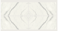 Aria White Bookmatch Nature B 120x270