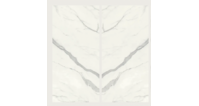 Aria White Bookmatch Polished A 120x270