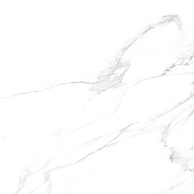 Artic 59,6x59,6