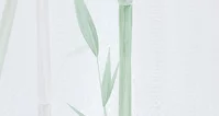 Bamboo Green (NWF) 280x416 cm