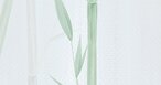 Bamboo Green (NWF) 280x416 cm