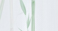 Bamboo Green (NWF) 280x416 cm