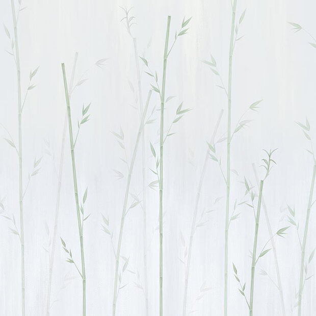 Bamboo Green (NWF) 280x416 cm