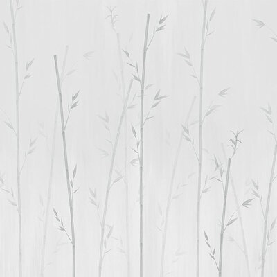 Bamboo Grey (NWF) 280x416 cm