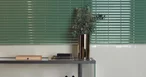 Blinds Jade 16,15x30