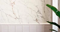 Calacatta Gold Nature 120x270