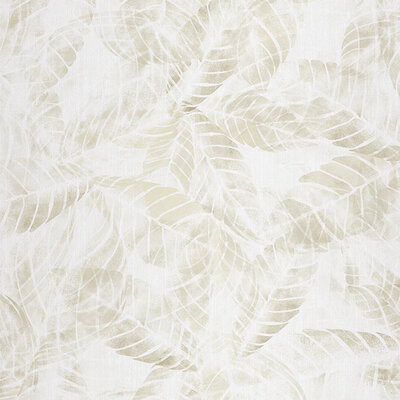 Calatea Beige 53x1005 cm