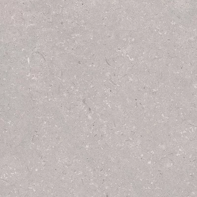 Coral Acero