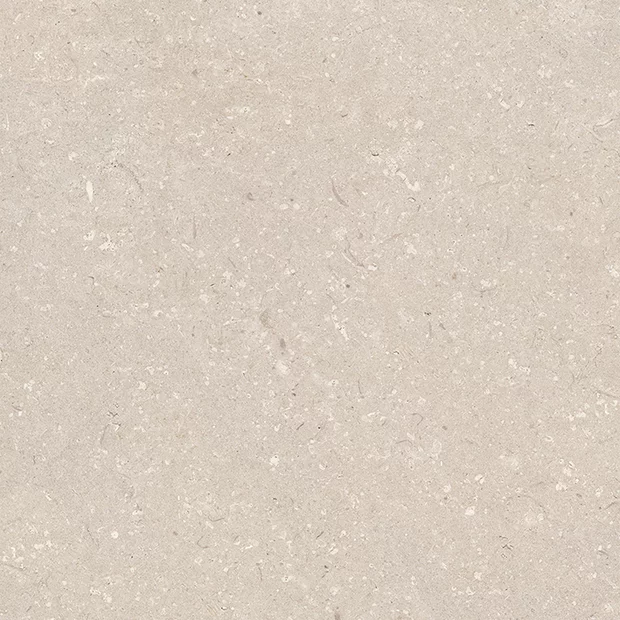 Coral Caliza 120x120