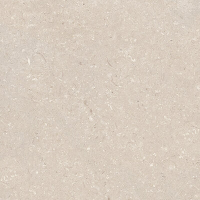 Coral Caliza 80x80
