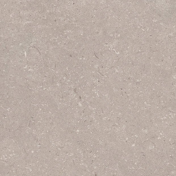Coral Topo 80x80