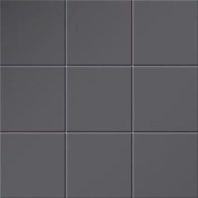 Cosmos S1 Black 16x16