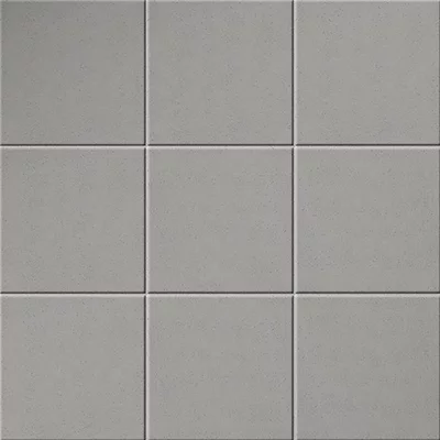 Cosmos S1 Silver 16x16
