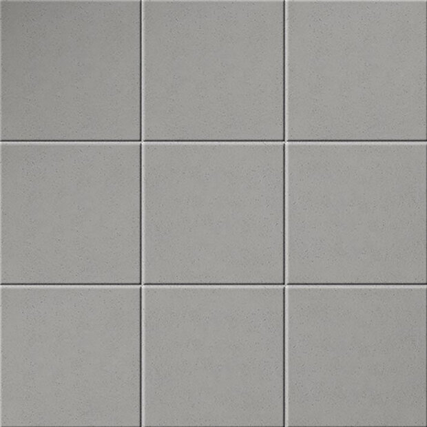Cosmos S1 Silver 16x16