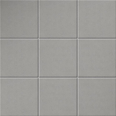 Cosmos S1 Silver 16x16