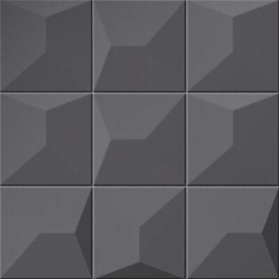Cosmos S2 Black 16x16