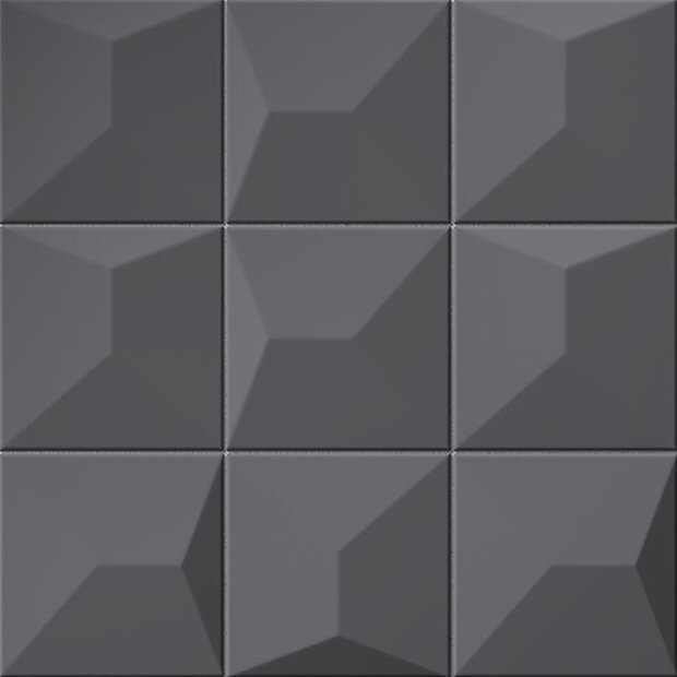 Cosmos S2 Black 16x16