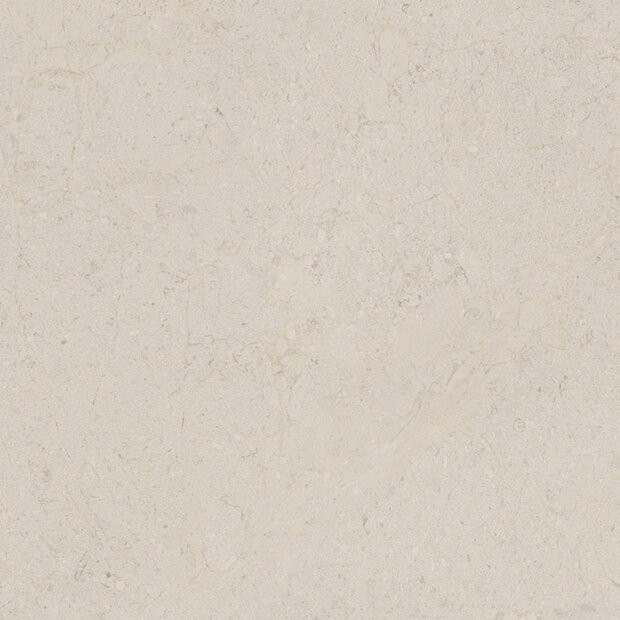 Dorcia Bone 80x80