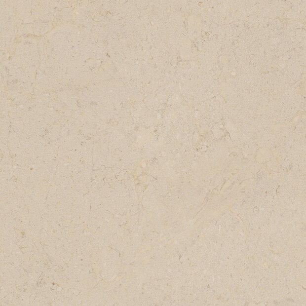 Dorcia Marfil 80x80