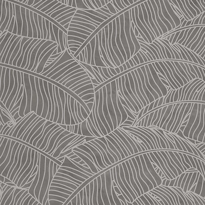 Ficus Coal 53x1005 cm