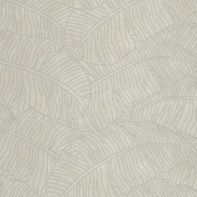Ficus Taupe 53x1005 cm