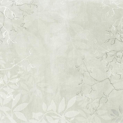 Firefly Platinum (NWF) 280x416 cm