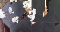 Focus Black Copper 28x29