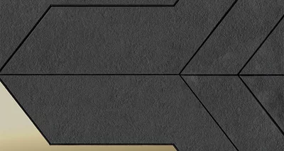 Focus Black Gold 28x29