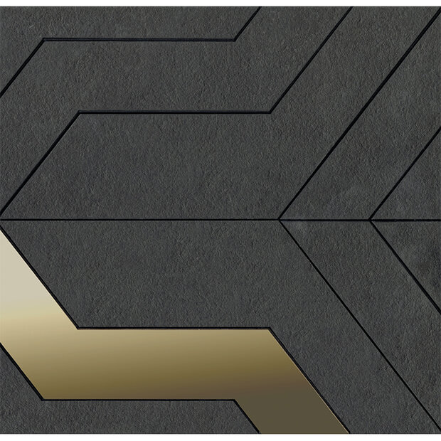 Focus Black Gold 28x29
