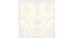 Glem White Bookmatch Nature B 120x270