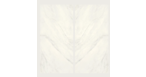 Glem White Bookmatch Nature B 120x270