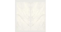 Glem White Bookmatch Nature B 120x270