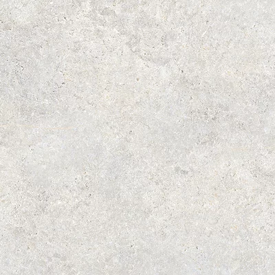 Hannover Bone