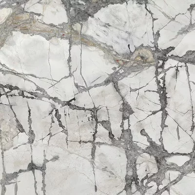 Invisible White Nature
