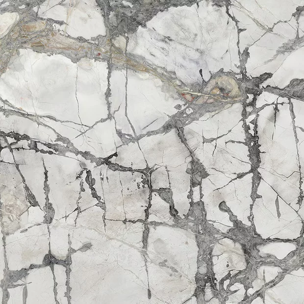 Invisible White Polished 160x320
