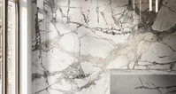 Invisible White Polished 160x320