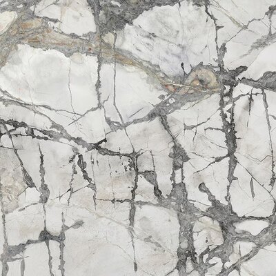 Invisible White Polished