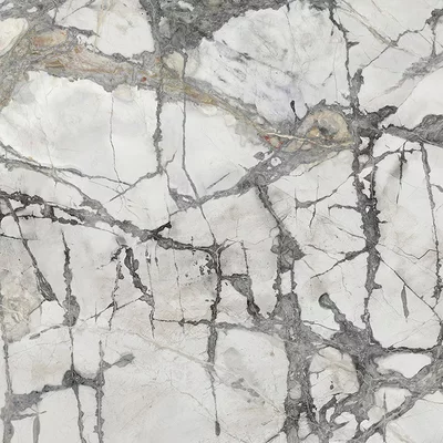 Invisible White Polished