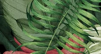 Leaves Greens (NWF) 280x416 cm