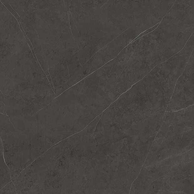 Liem Dark Polished 120x270