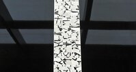 Lines Safary White 29,8x30,4