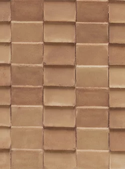 Mattonella Anticato 114,5x326,5