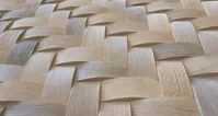 Palm Caribbean 118,3x253,2