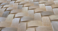Palm Caribbean 118,3x320,1