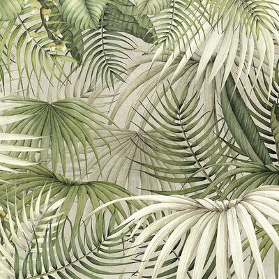 Palm Spring (NWF) 280x416 cm