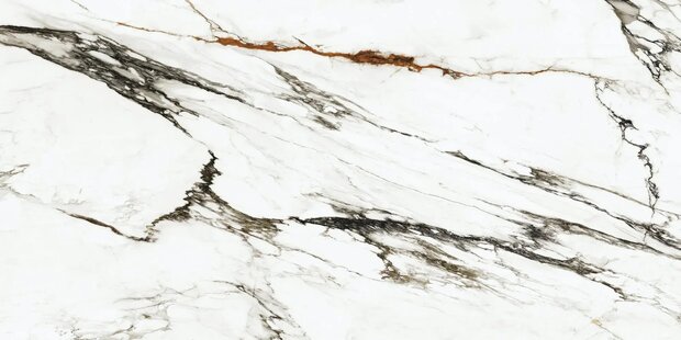 Paonazzo Biondo Polished 160x320