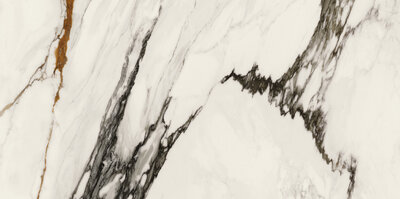 Paonazzo Biondo Polished