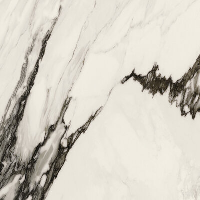 Paonazzo Biondo Polished 59,6x120