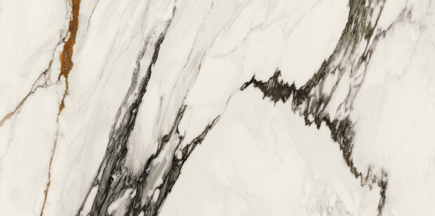 Paonazzo Biondo Polished 59,6x120